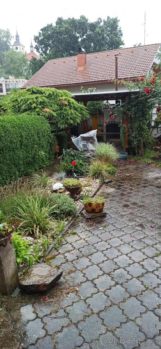 Prodam rodinny dum v Trebechovicich - 3