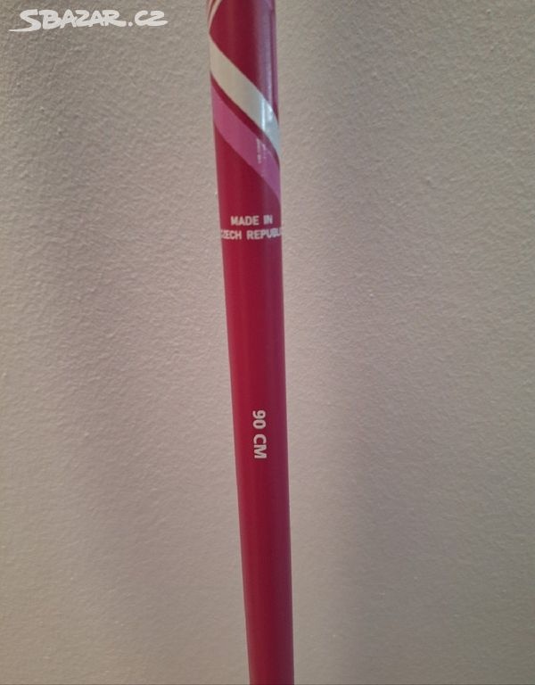 Dívčí lyžařské sjezdové juniorské hole - 3