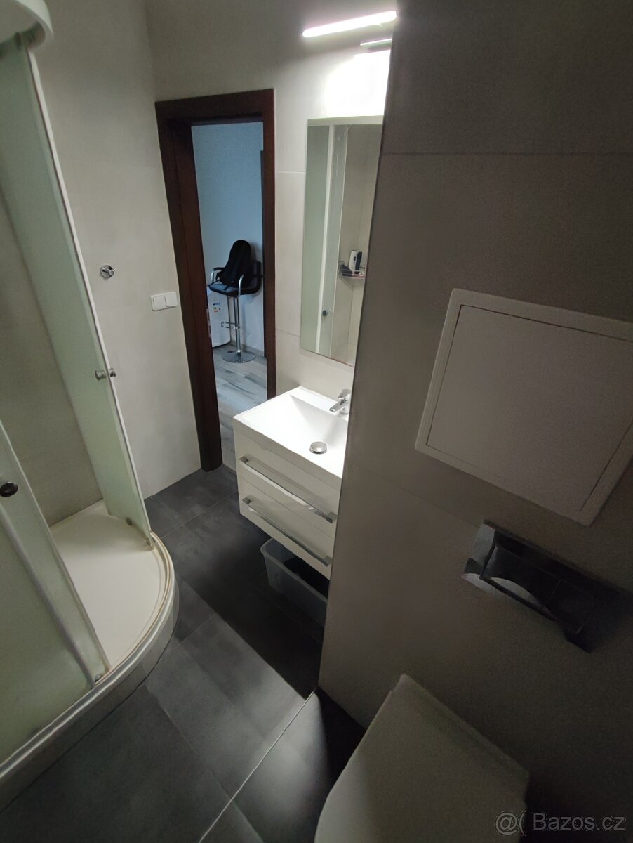 Prodám byt 1+1, 30,50m2 v obci Práče - 3