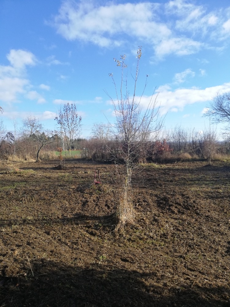 Olomouc řepčín zahrádka 455 m2 - 3