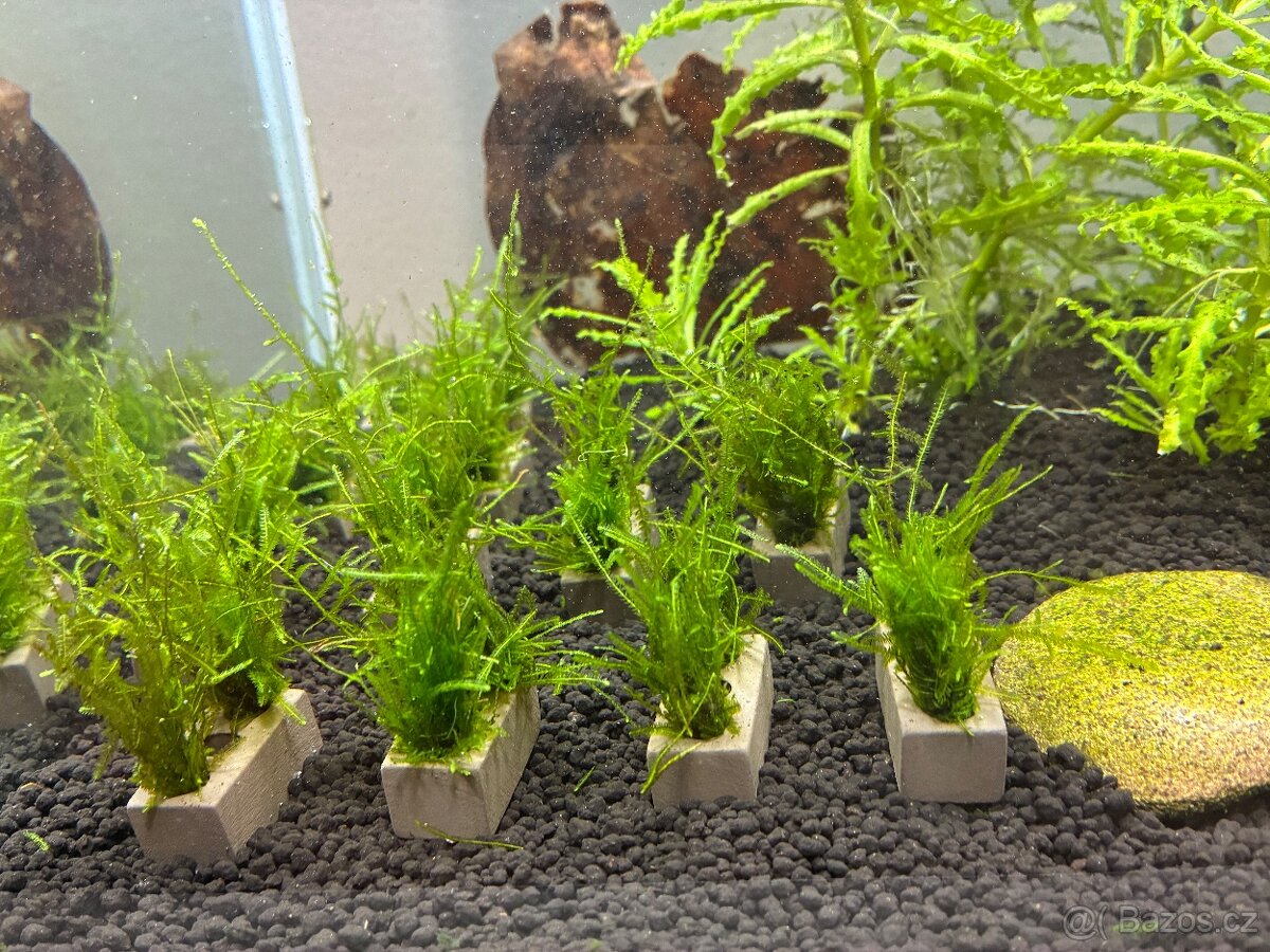 Mech v cihličkách - 3