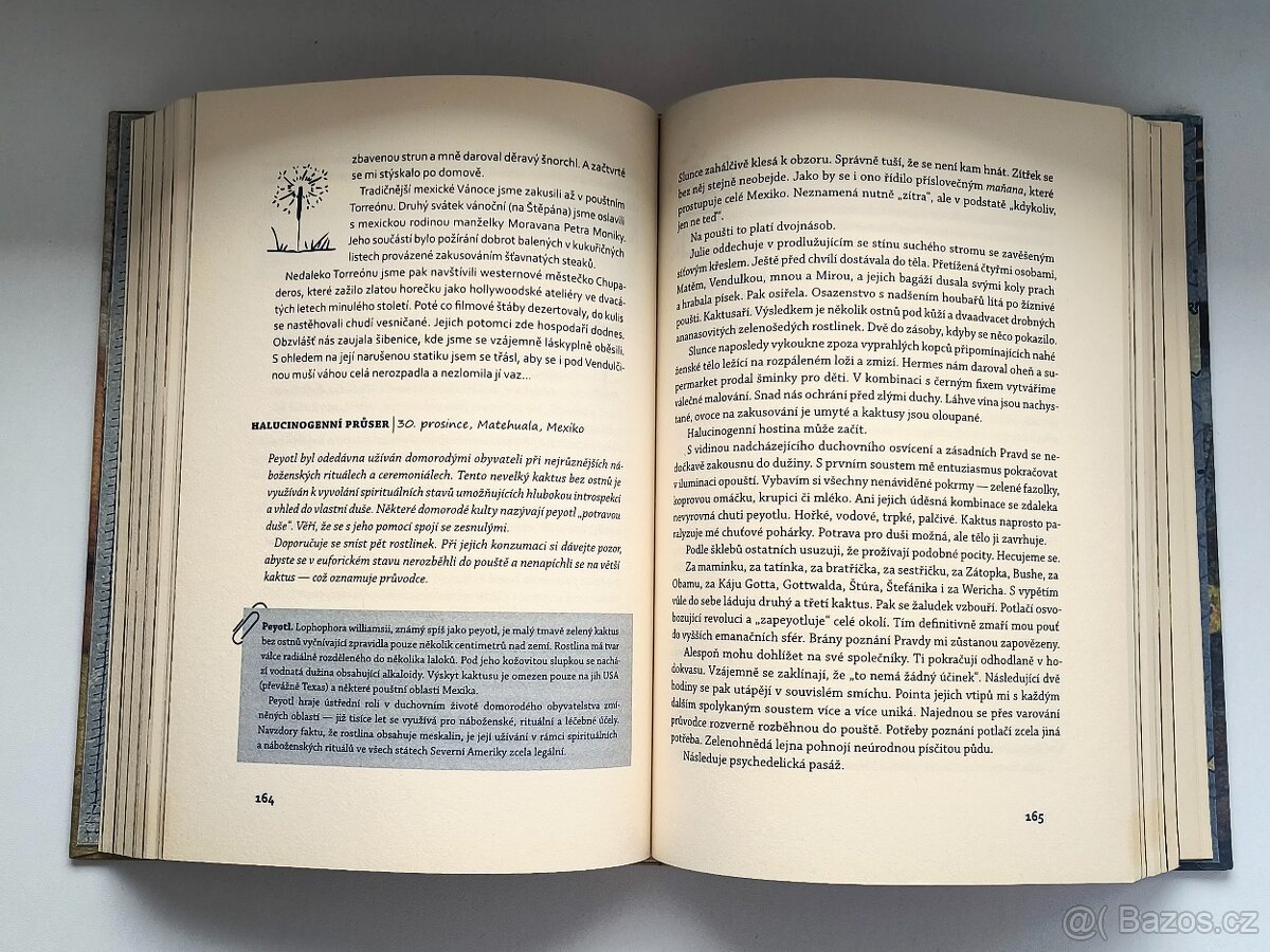 Embéčkem kolem světa - Michal Vičar - 3