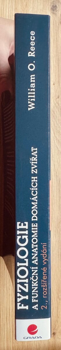 FYZIOLOGIE fyziologie a funkční anatomie - 3