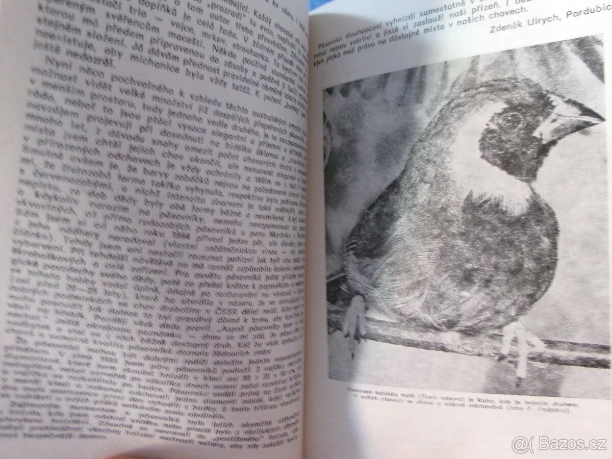 PIZ exotické ptactvo + kanáří 1982-1991 - komplet. - 3