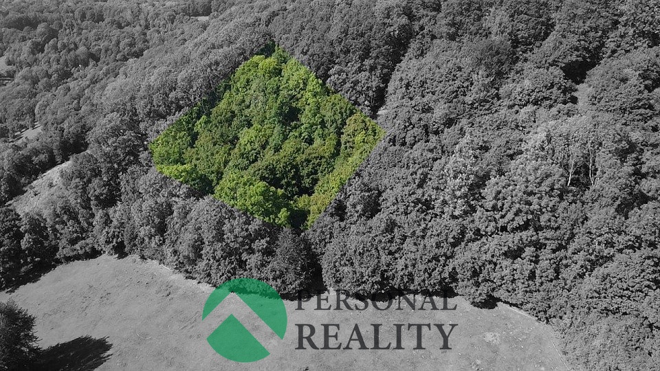 Prodej pozemku, 3543 m², Malečov - Čeřeniště, ev.č. 01303 - 3