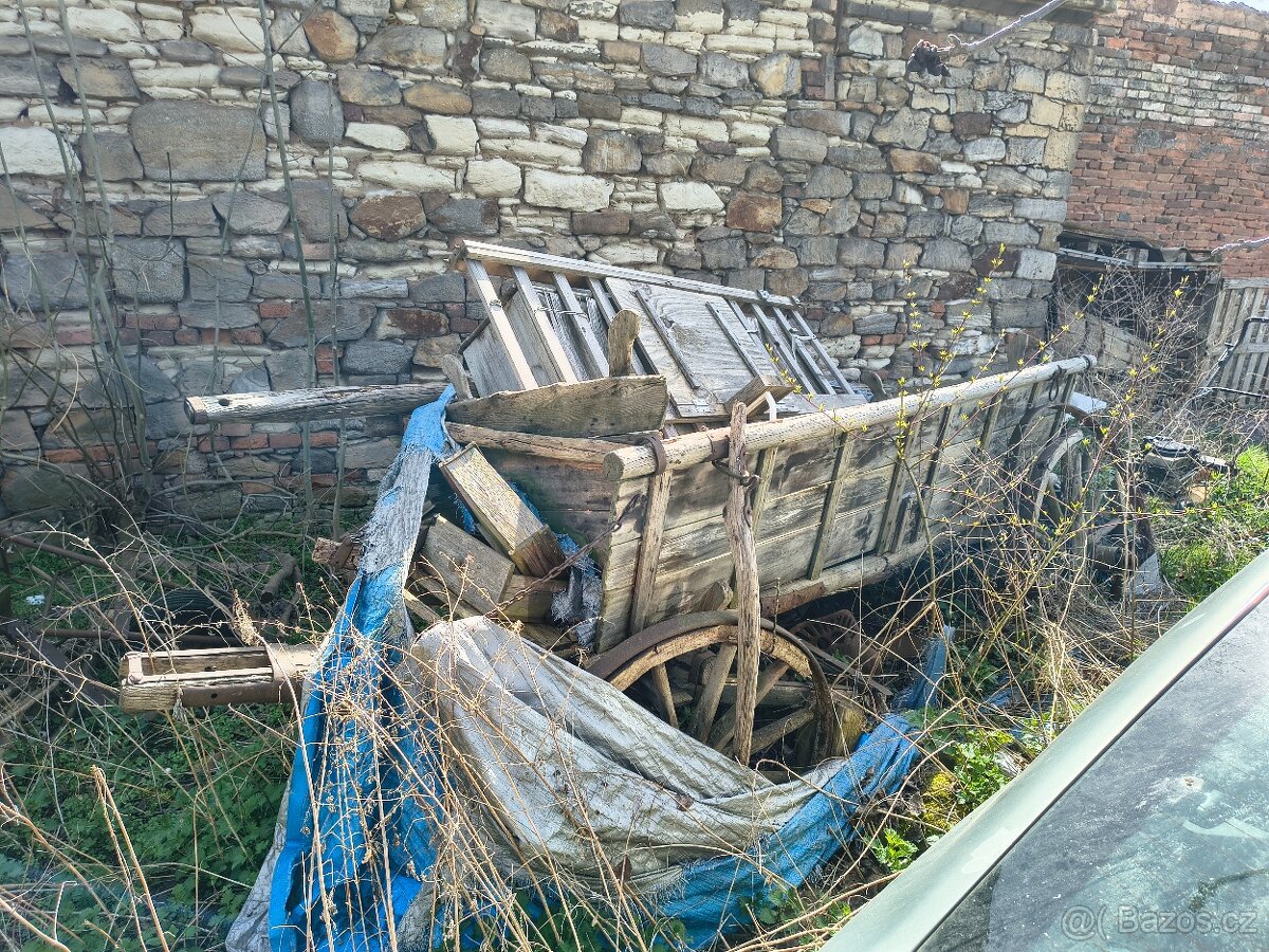 Stará sečka a žebřiňák - 3