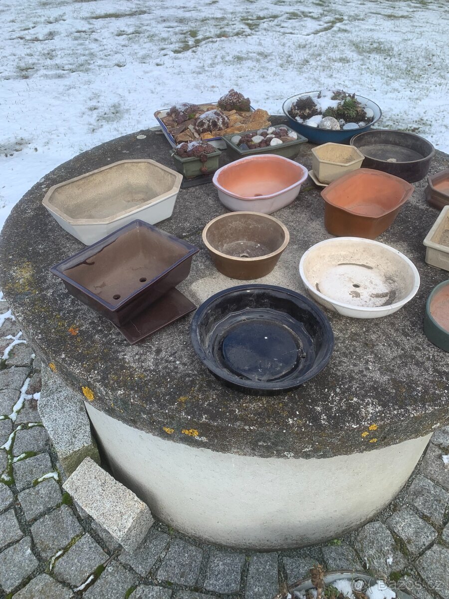 Prodám Bonsai misky pěkné nové - 3