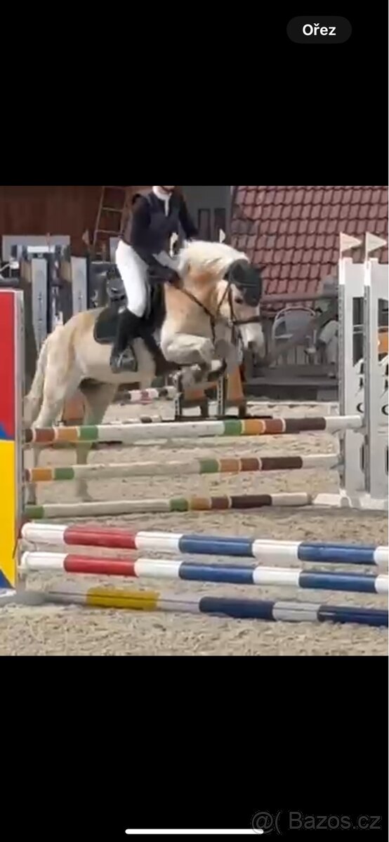 Patnáctiletý hafling - 3