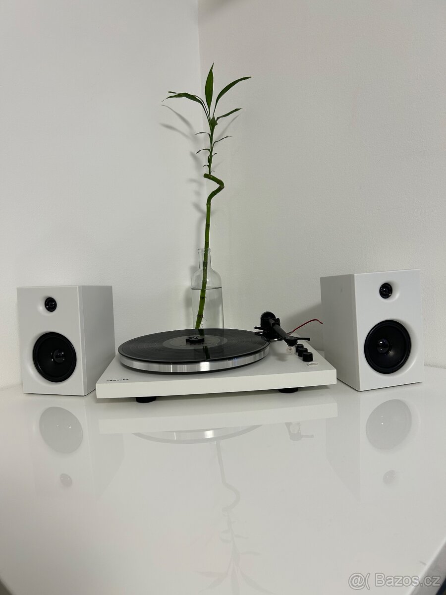 Gramofon Crosley T150 - 3