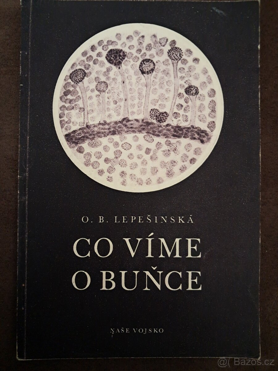 4 knížky Naše vojsko z roku 1951, 1952, 1953 - 3