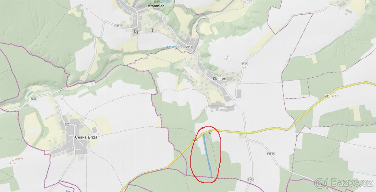 Prodám lesní pozemek v k.ú. Žichlice u Hromnic - 3