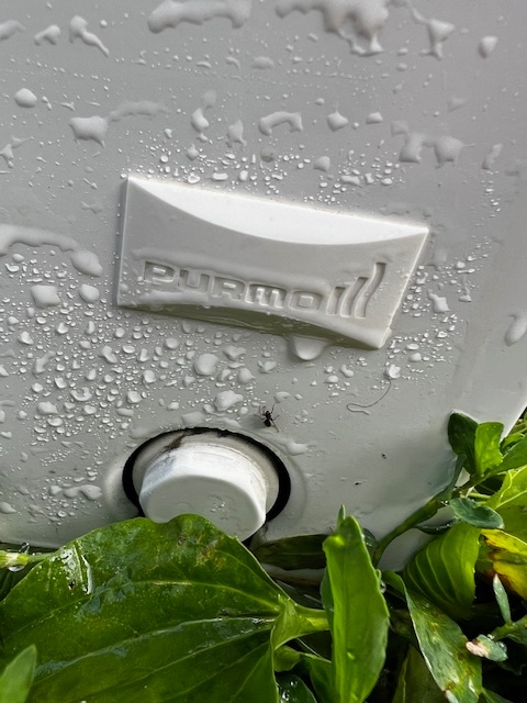 Radiátor Klasik 33-900/1200 - PURMO - 3