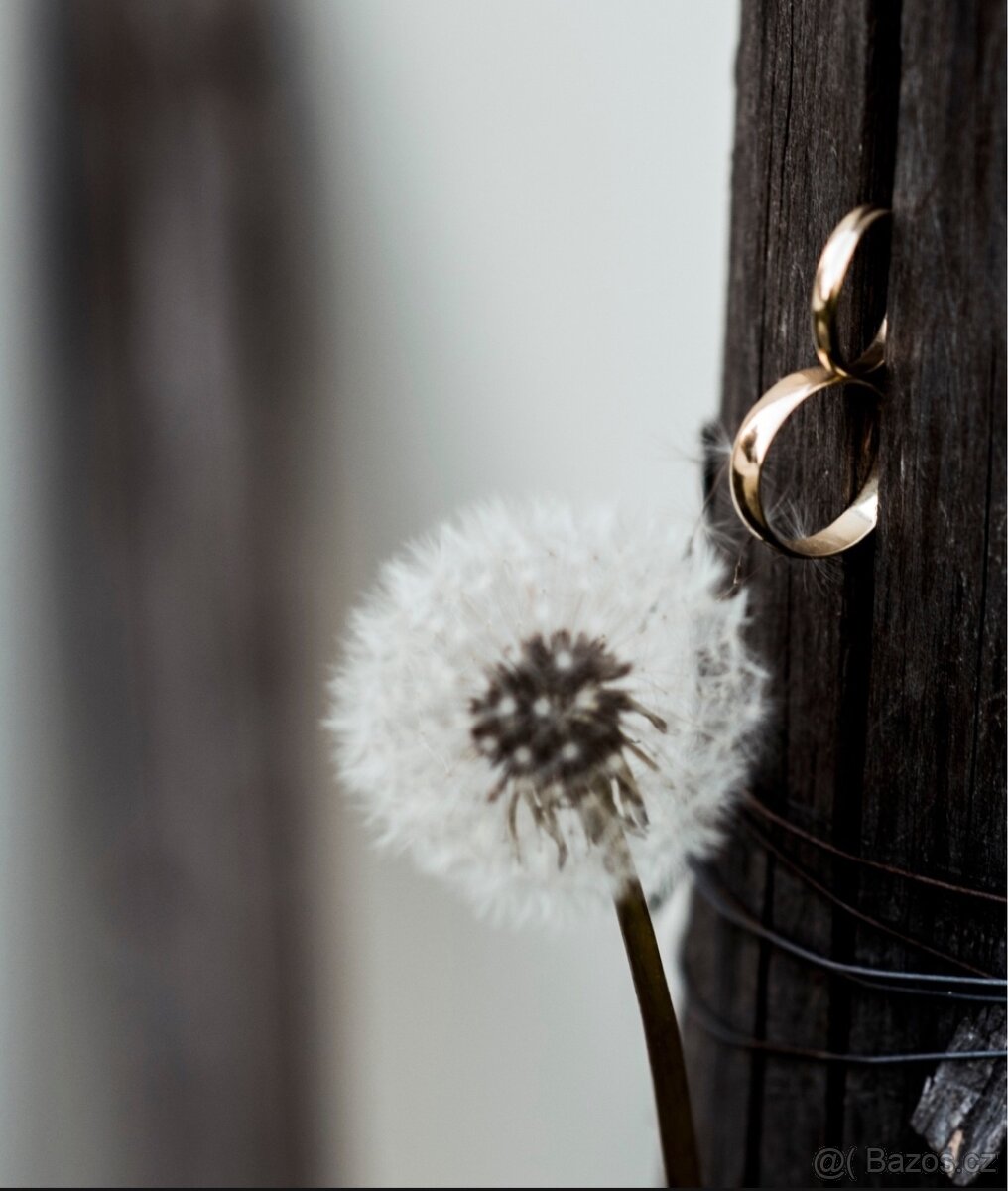 Svatební fotografie - 3