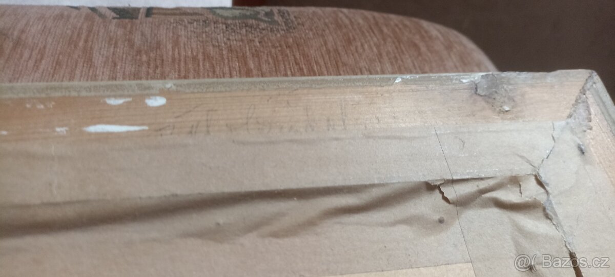 Obraz Bělobrádek - 3