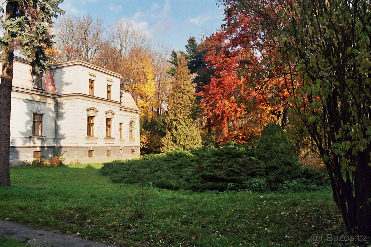 Prodám nebo pronajmu vilu - 3