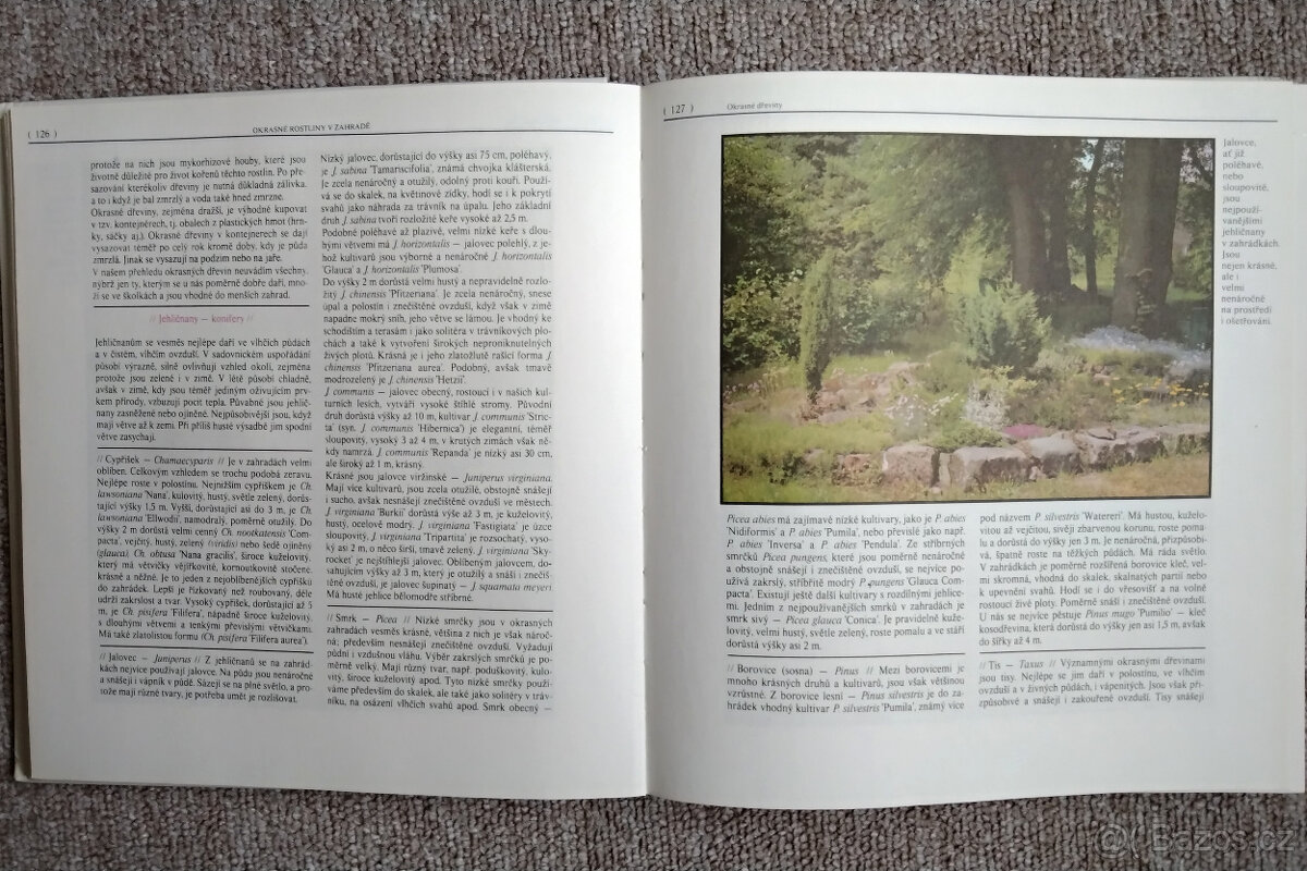 Moderní zahrada - 3