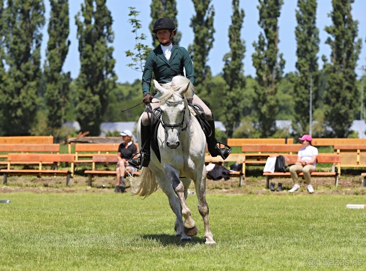 Nádherný valach na všechno:-) - 3