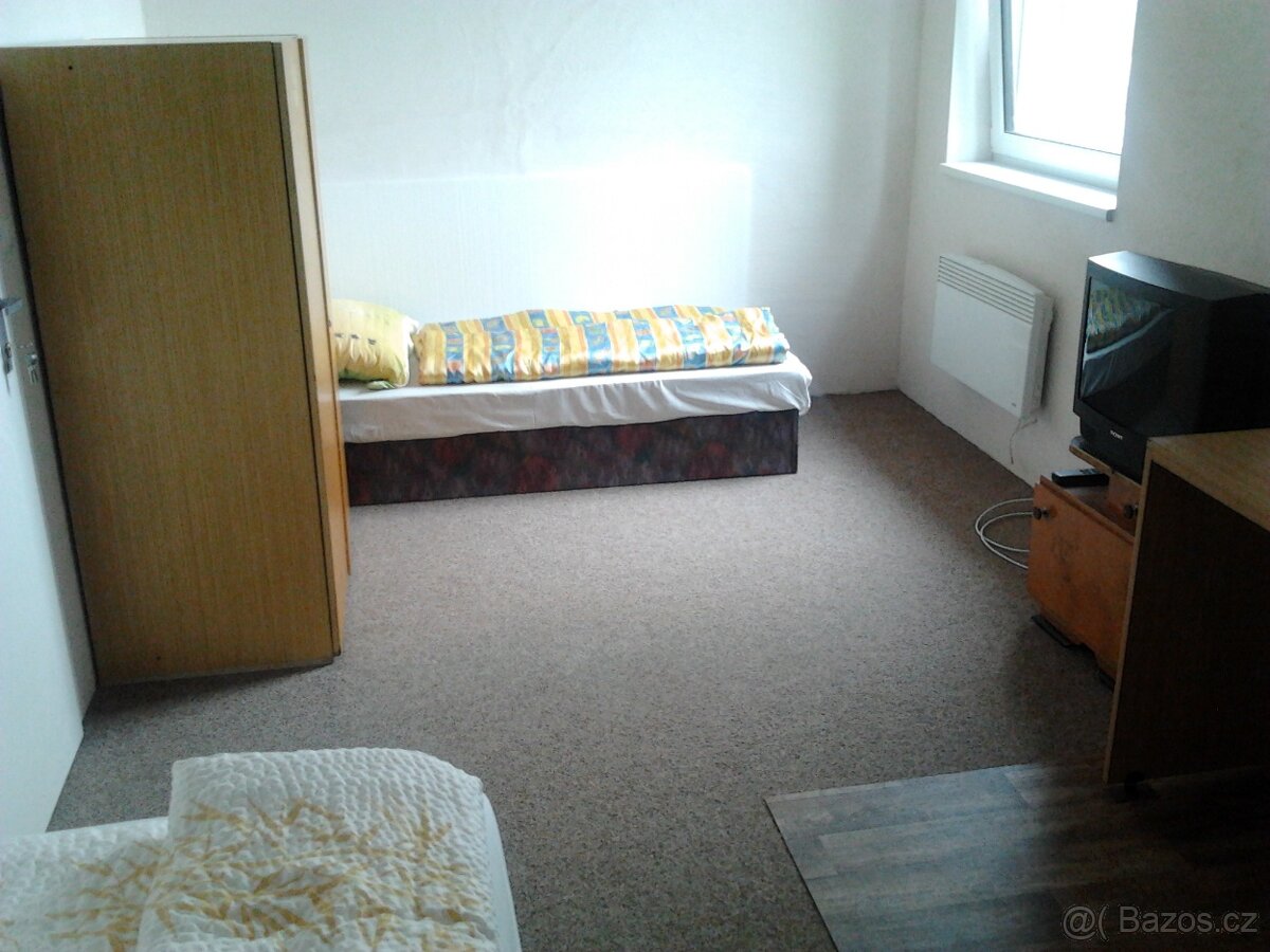 Pronájem místnosti v Bytu - 3