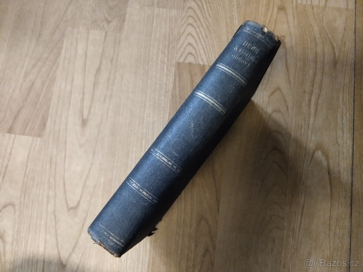 Kniha - Duch katolické obnovy - 3