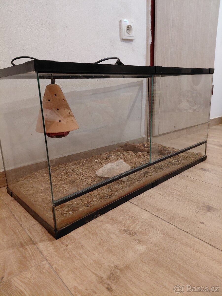 Terarium - 3