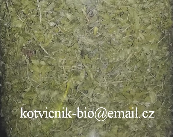 Kotvičník sušený nať - 3