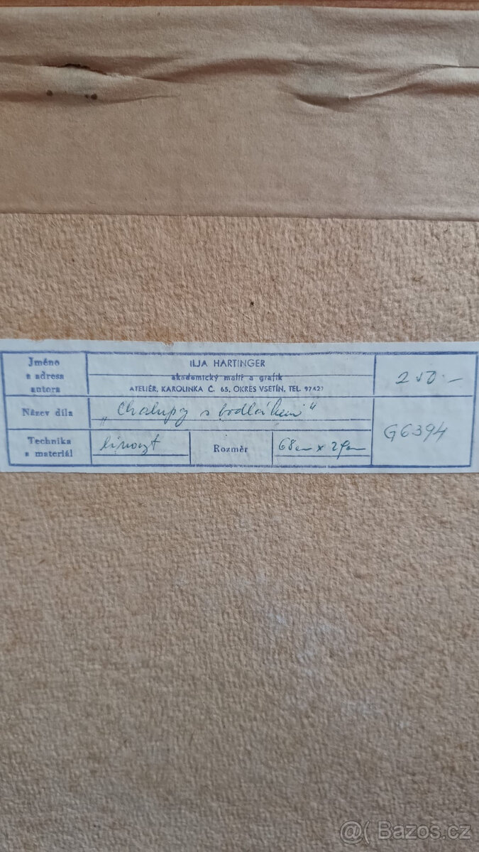 Chalupy s bodlákem - Ilja Hartinger - 3