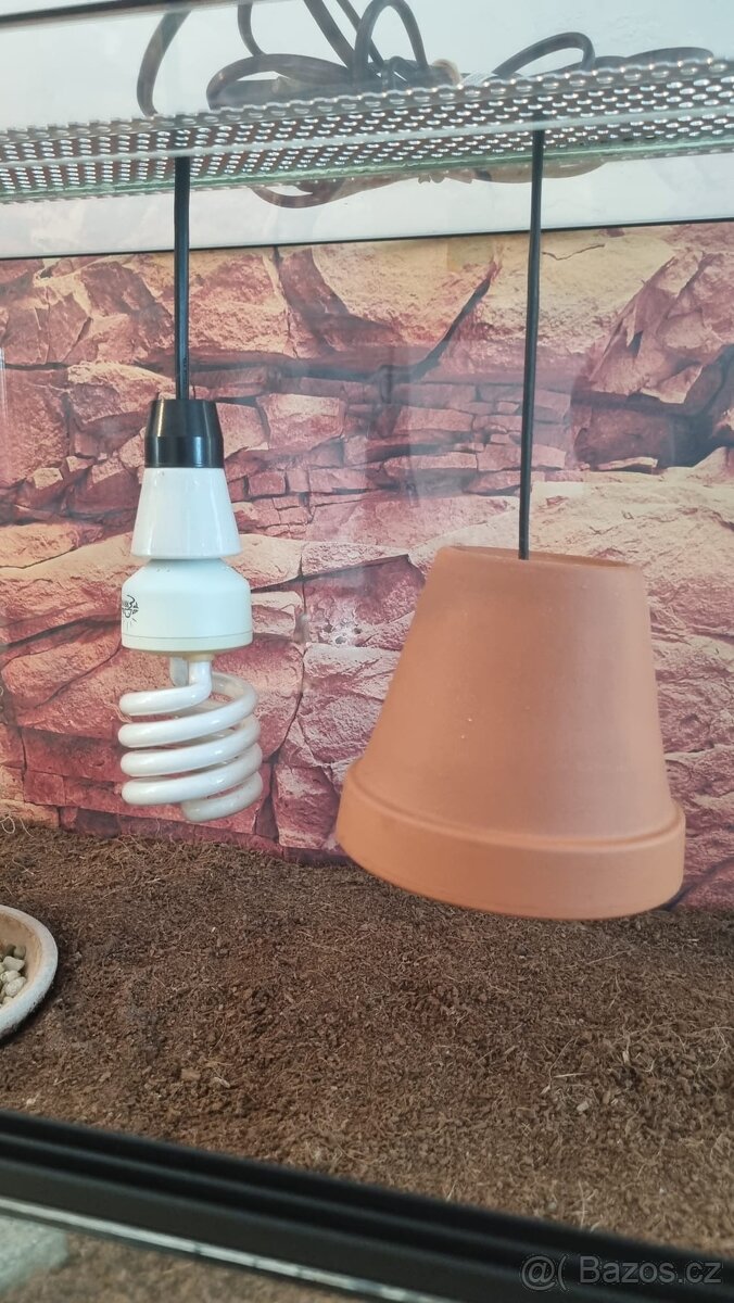 Terárium 80x40x40 - 3