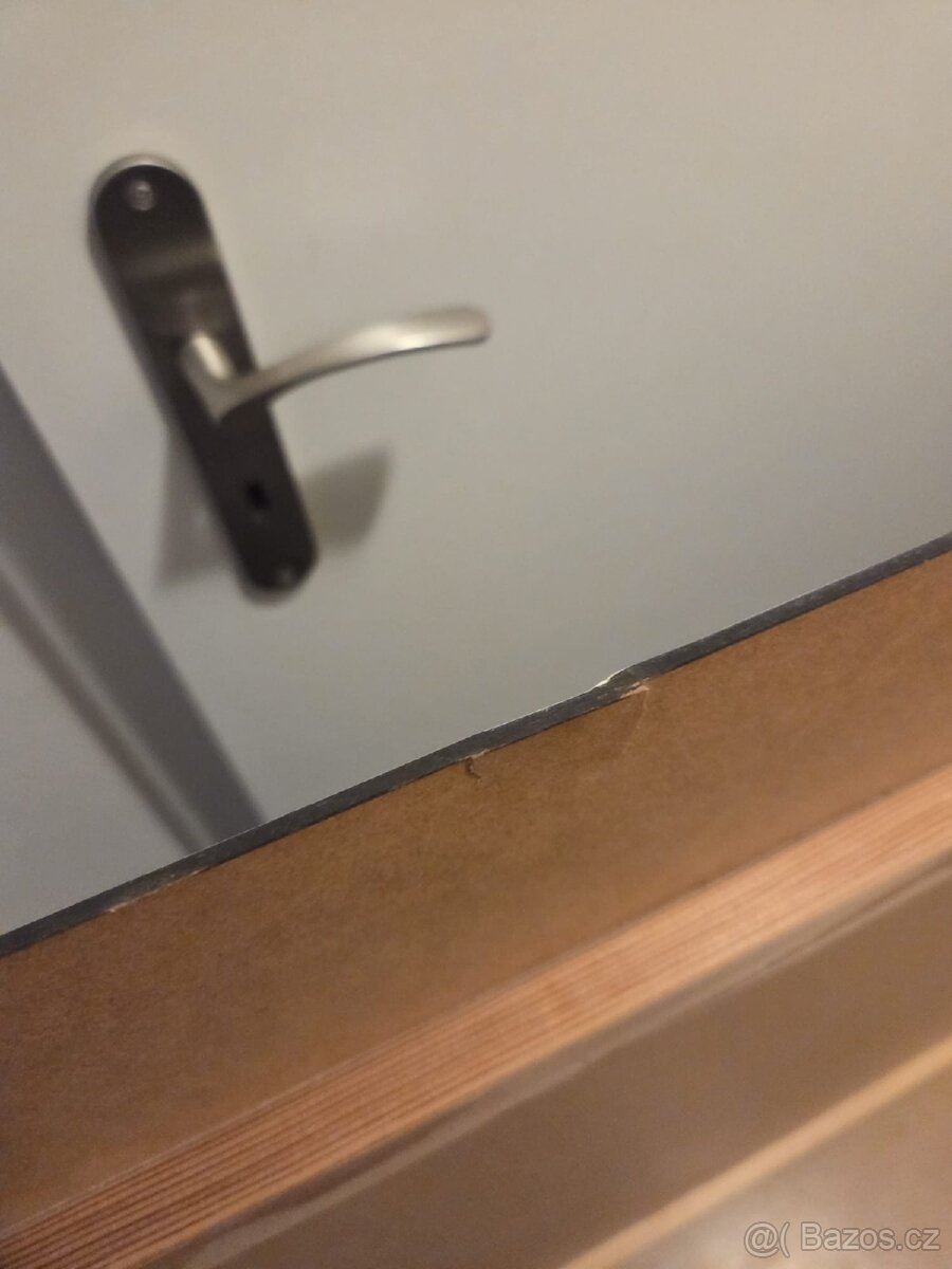 Velký obraz zebry - 3