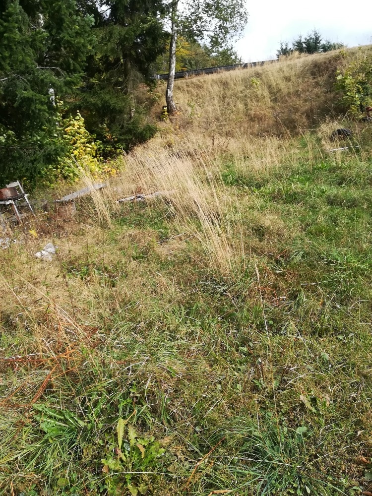 Pozemek Desná II. - 3