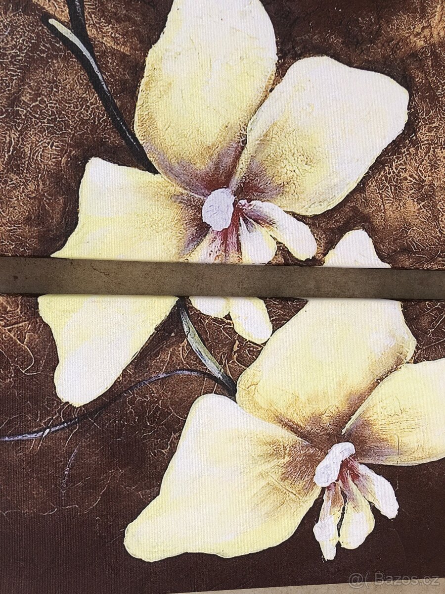 5 dilny obraz orchidej XXL - 3