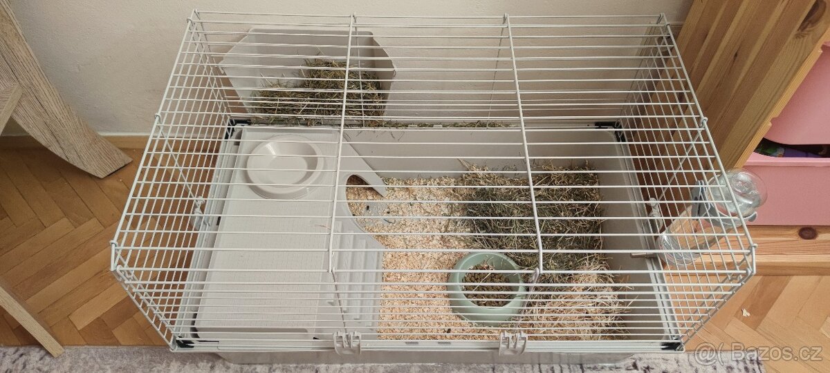 Morčátko + klec s vybavenim - 3