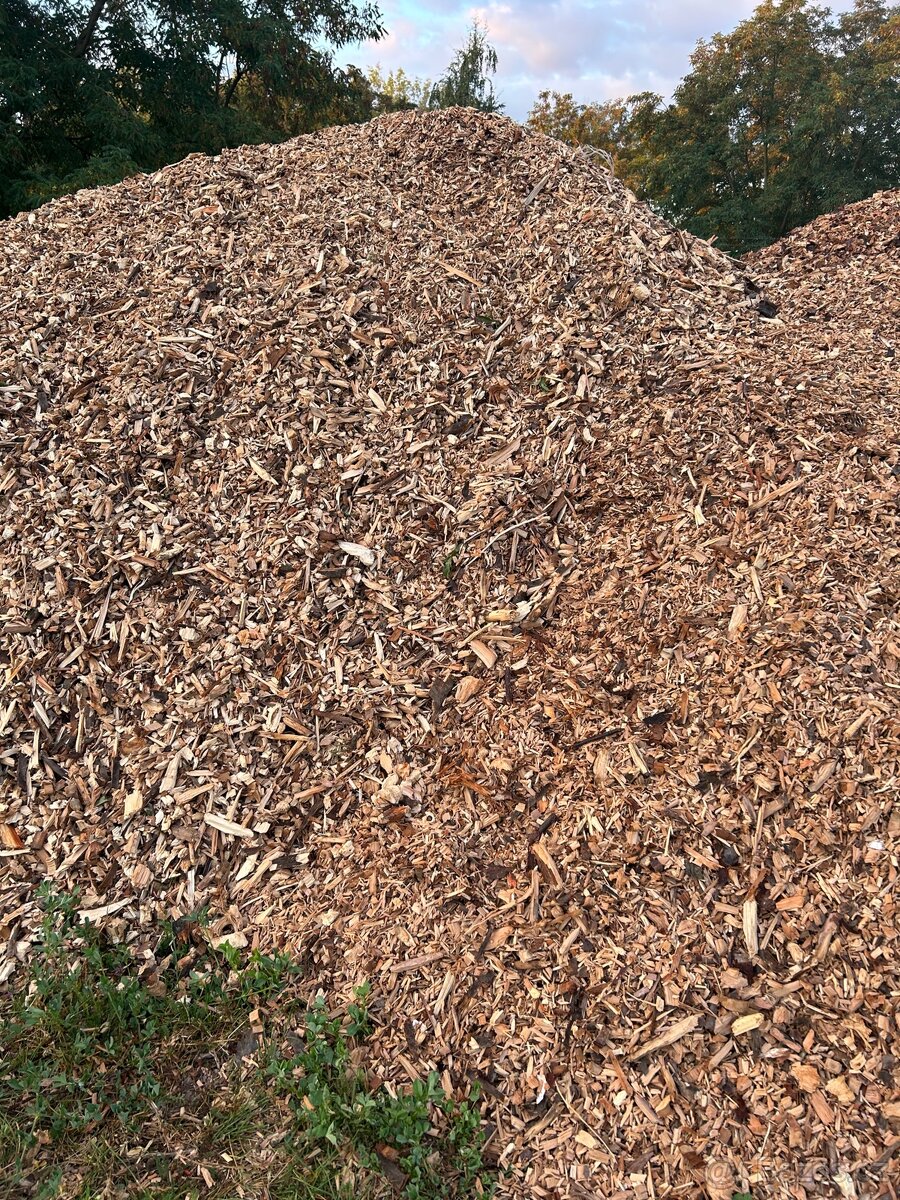 Drevni stepka - mulcovaci kura - 3