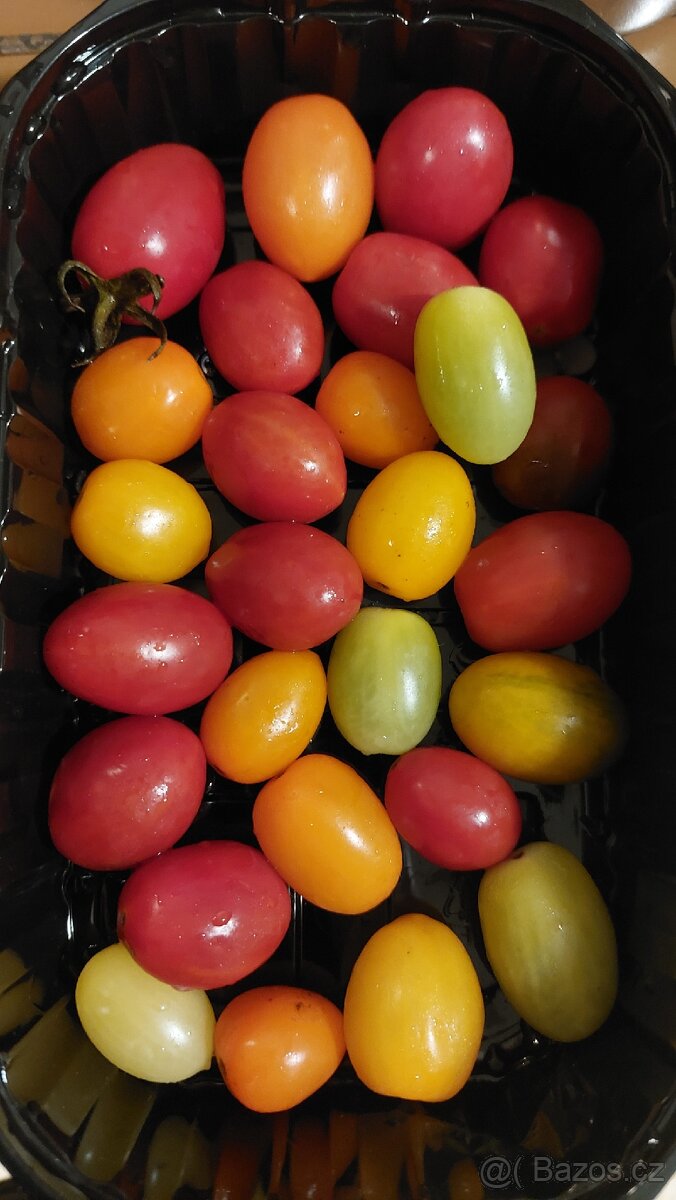 Sazenice rajčata - 3