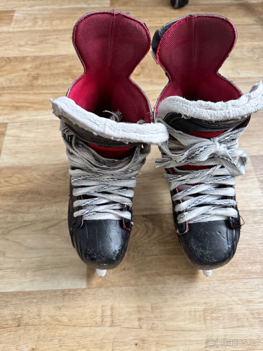 Bauer brusle x700 - 3