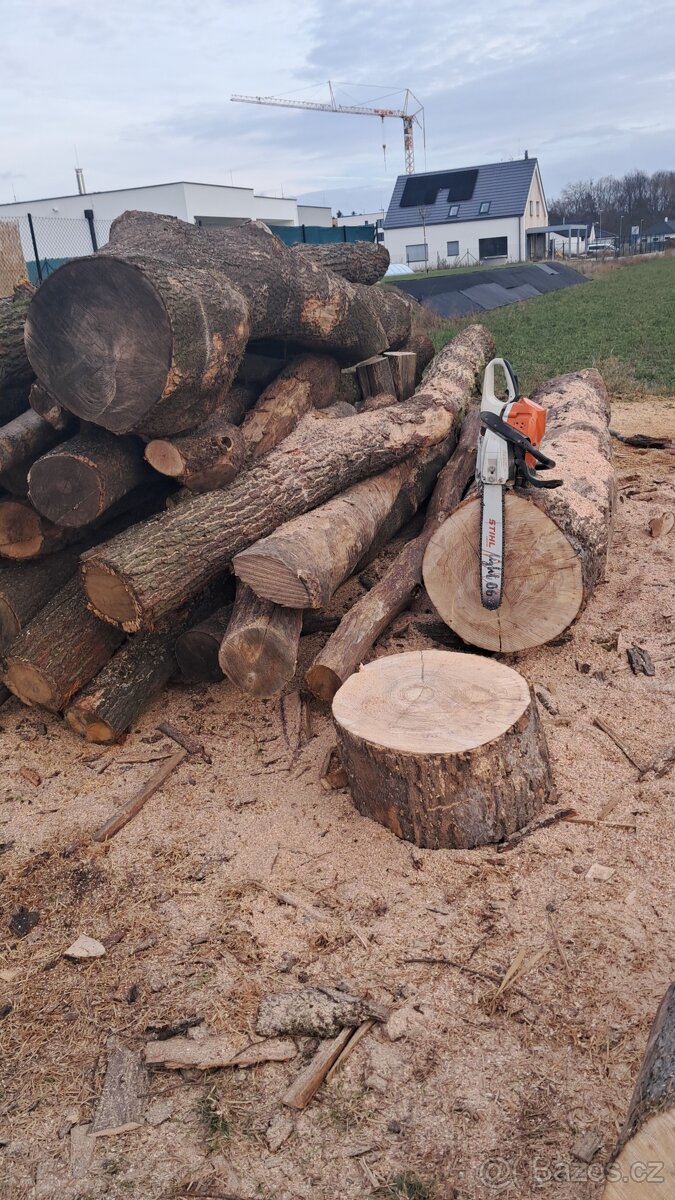 Práce s motorovou pilou - 3