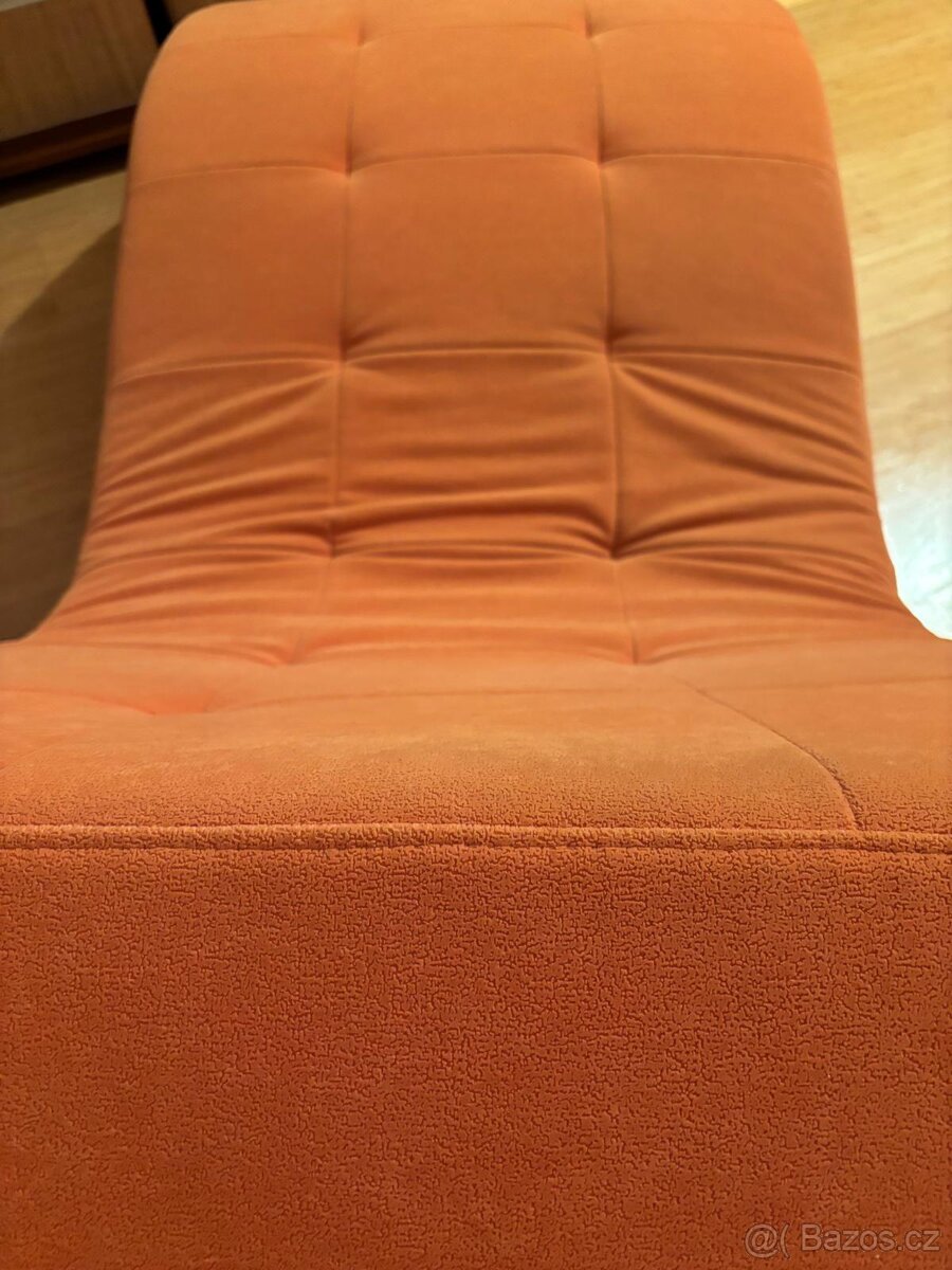 Oranžová lenoška - 3