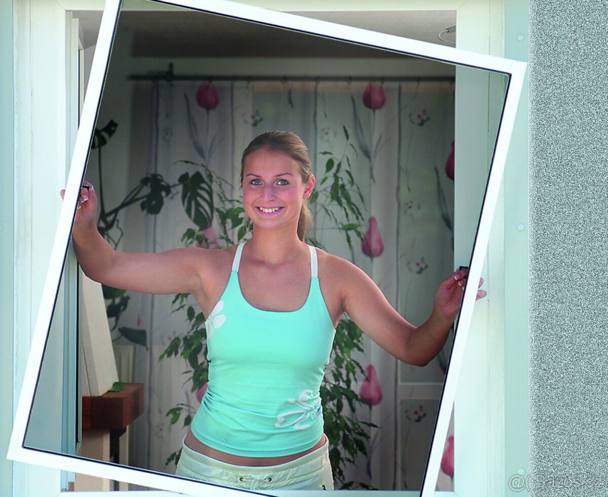 Okenní síť proti hmyzu - hliník + 2ks alarmu - 3