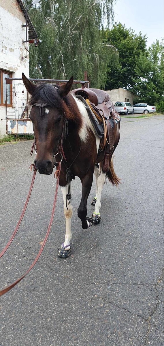 Pasování botek pro koně: - 3