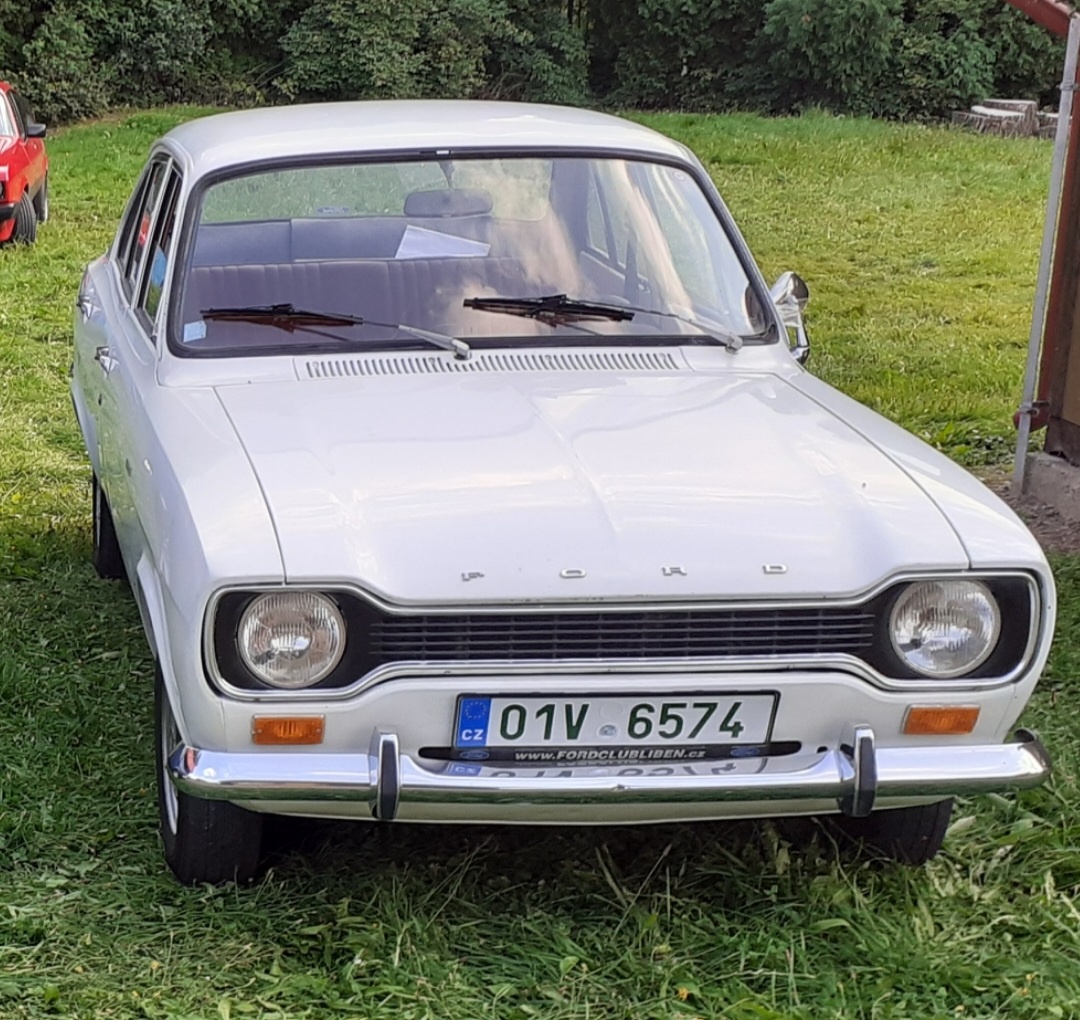 Ford Escort Mk1, Veterán, Psí kost - 3