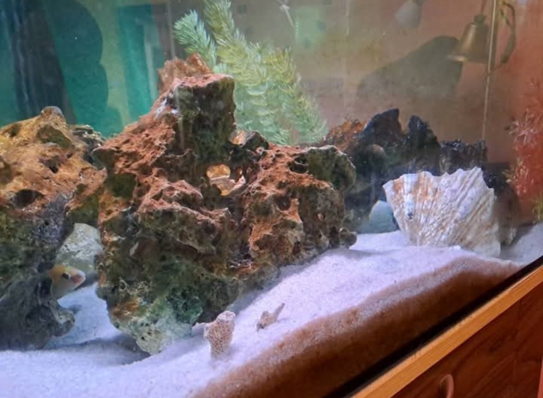 Akvarijní sestava - 3