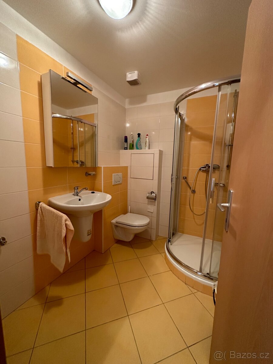 Velká Bíteš 1+kk - 3