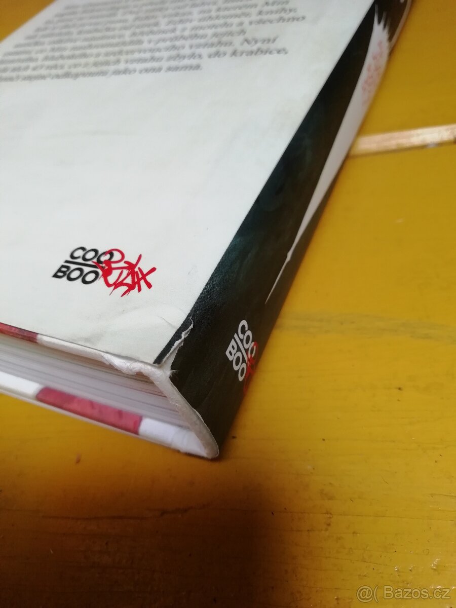 Proč jsme se rozešli (Daniel Handler) - 3