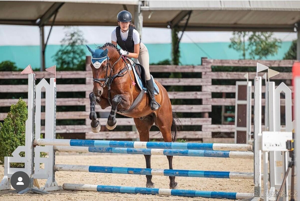 12ti letý valach - 3