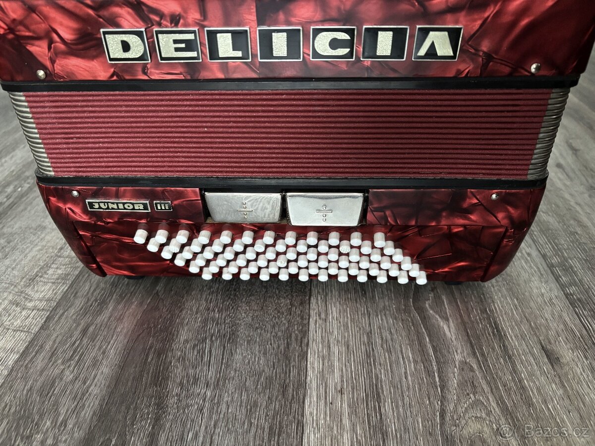 Delicia Junior III - 72 basů - 3