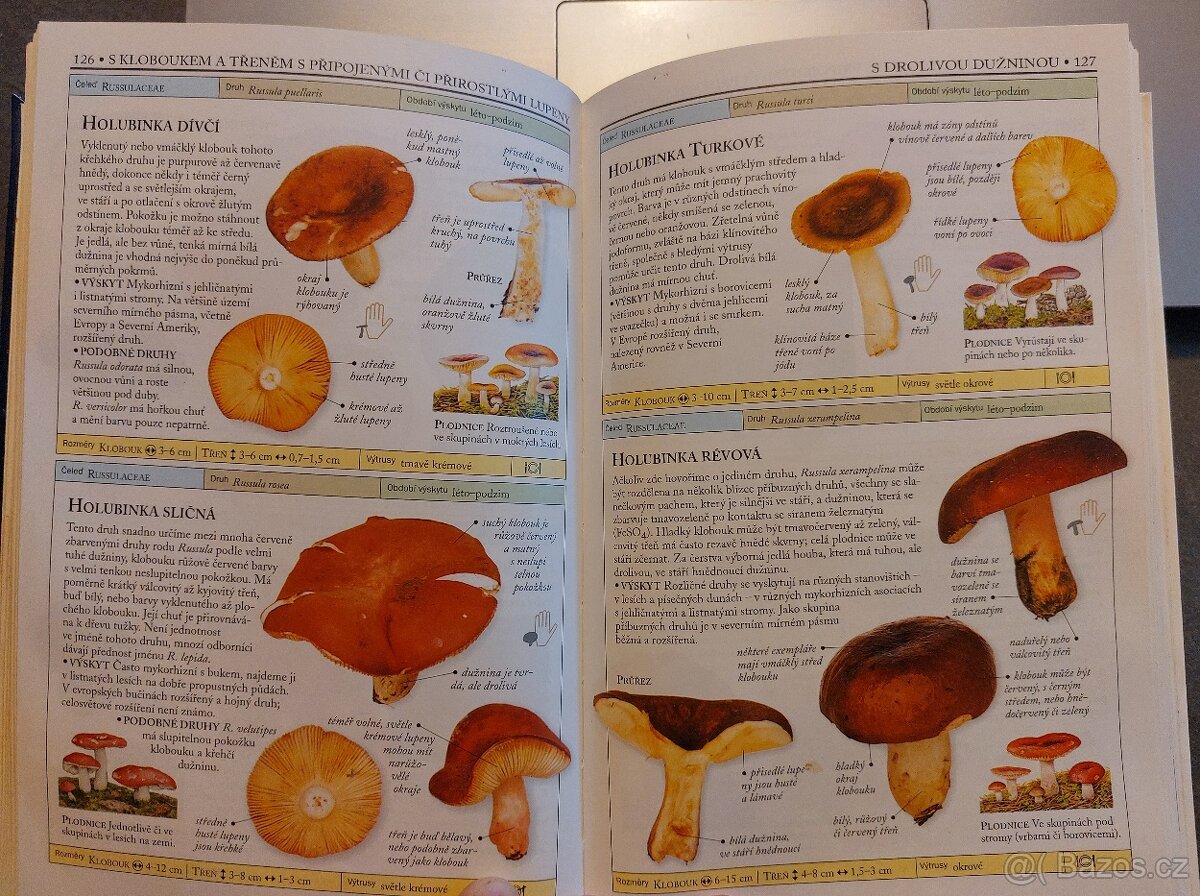 Houby-Thomas Lassoe - 3