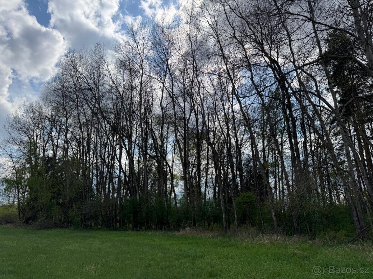 Prodám pozemky v k. ú. Holičky u Staré Hlíny - 3