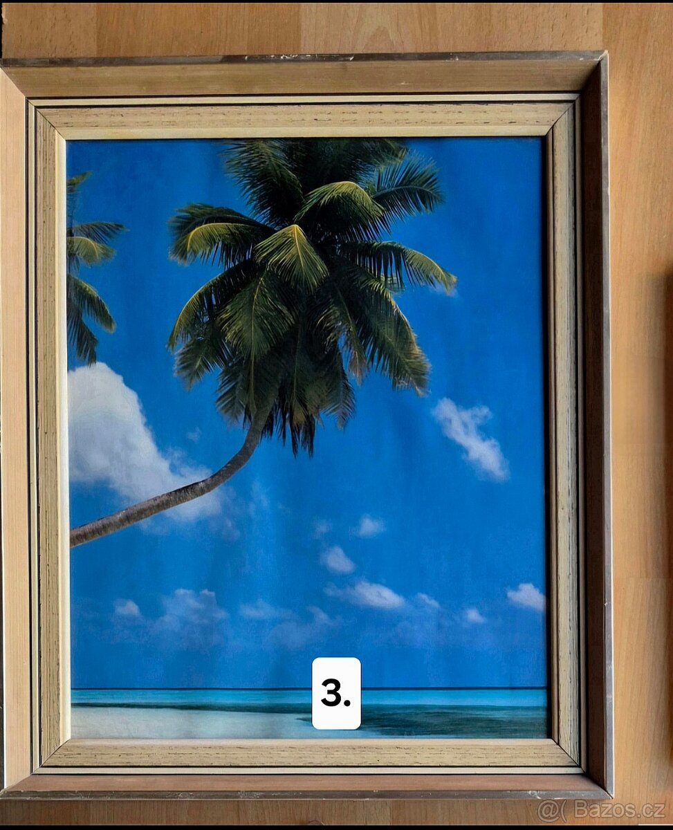 Obrazy tropické pláže - 3