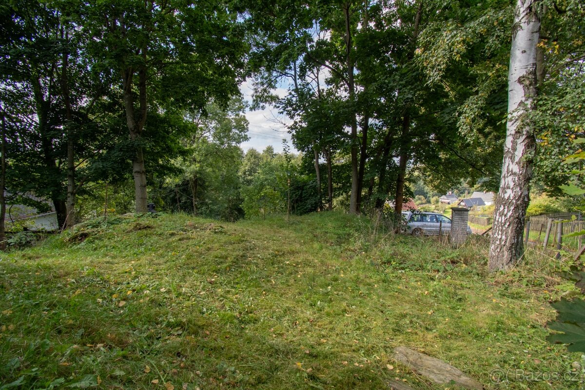 Stavební Pozemek Nová Chřibská Rybniště 1559 m2 s Chatou - 3