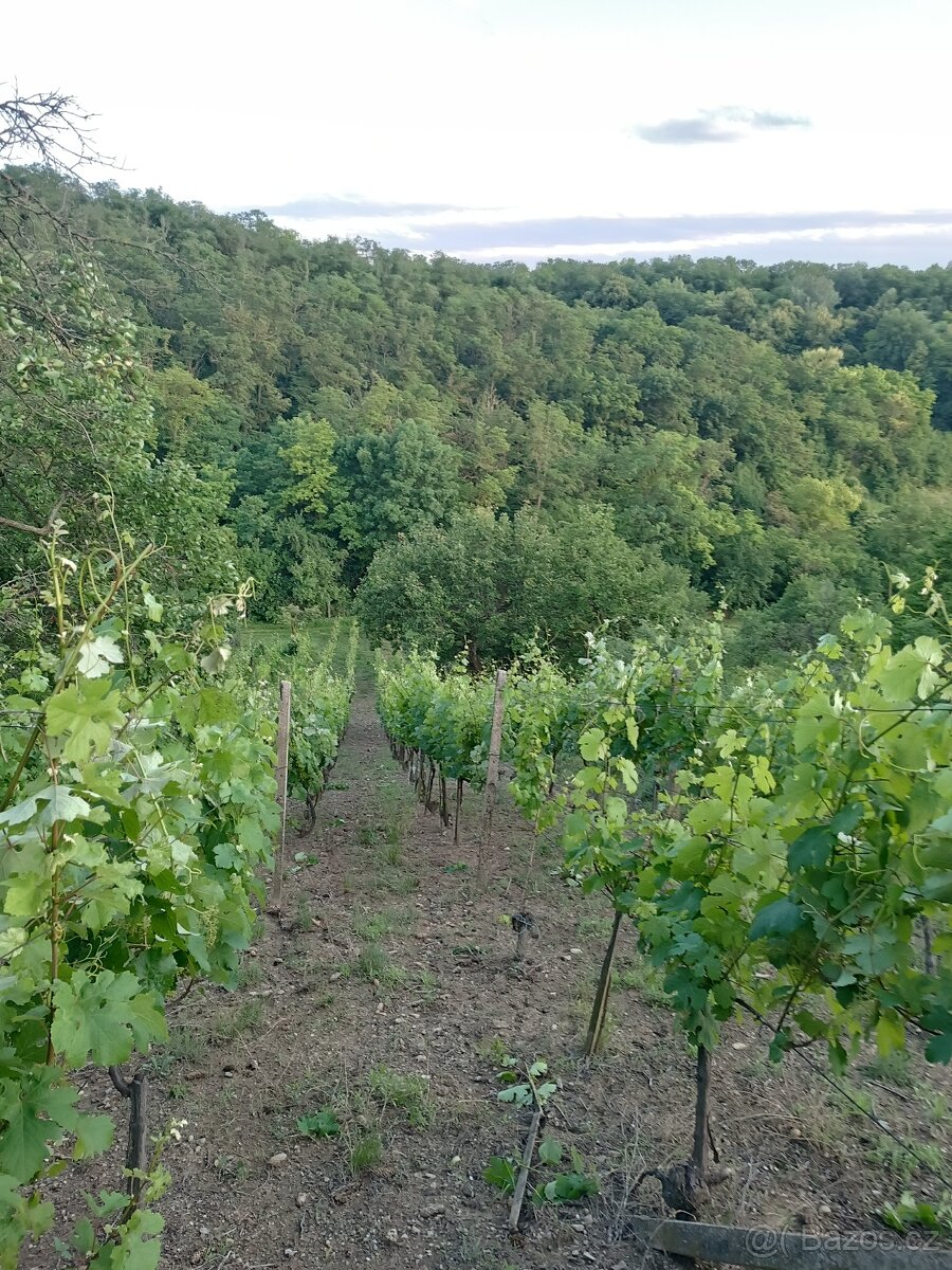 Prodám rekreační pozemek - 3