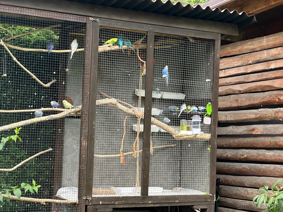 Venkovní voliera dvoudílná - 3